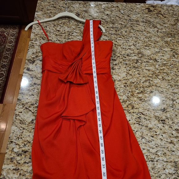 Dress Is A Stunner! - Picture 6 of 13